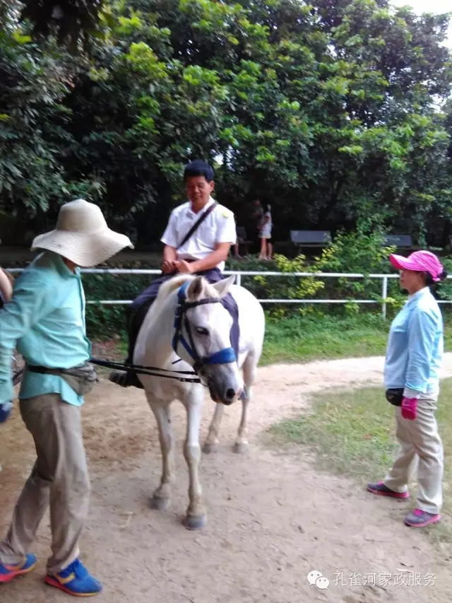 ���ҷ���׌��������á�2015��B�T�м�����(ji��)��ӣ�