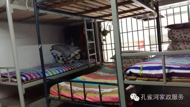 ��ȸ�Ӽ�����ķ������ů��ů��������