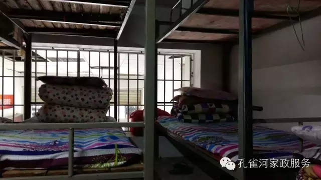 ��ȸ�Ӽ�����ķ������ů��ů��������