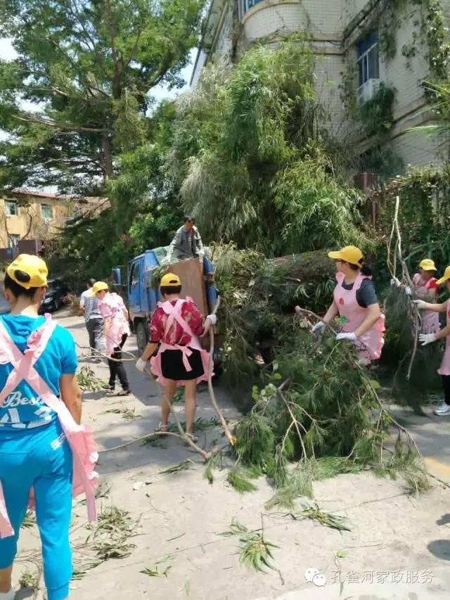 ��������y���������