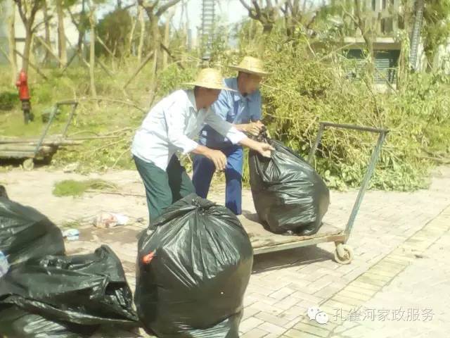 ��������y���������