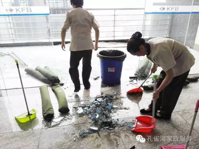 ��������y���������