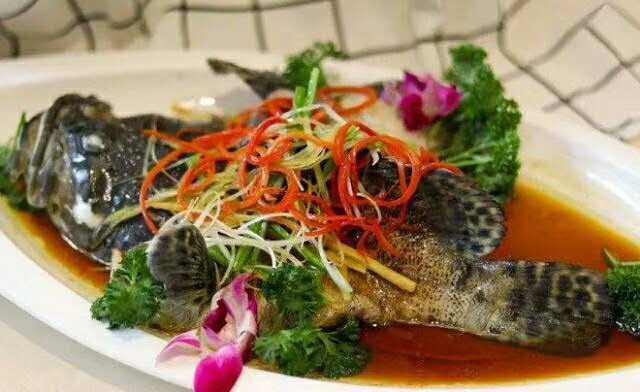 ��������ȸ����������n���_�n��