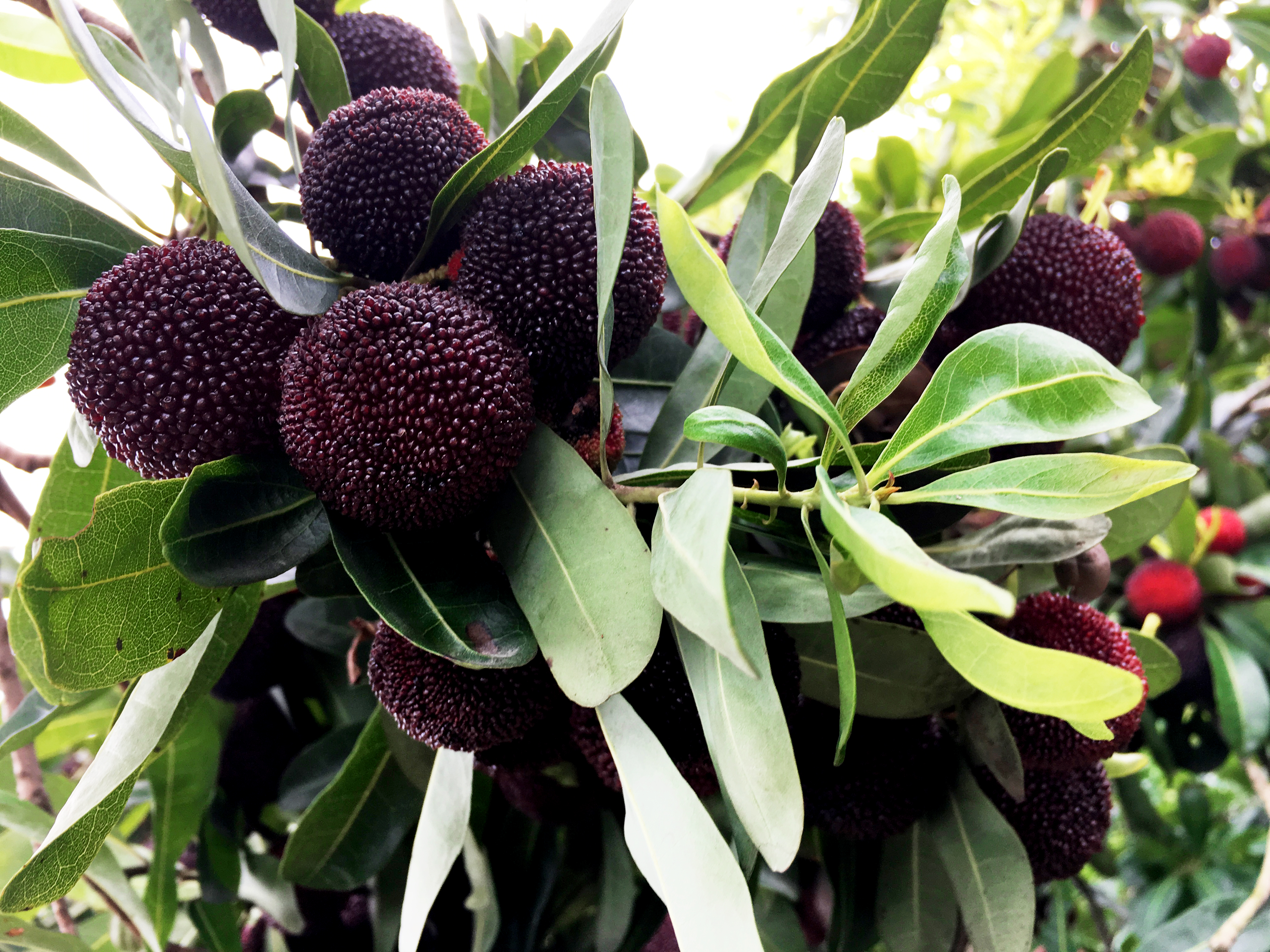 ���؄e��Ϣ���@�ε��ի@�H�S����ȸ���H�ӻ��(d��ng)�����Y(ji��)������